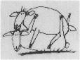 S-29